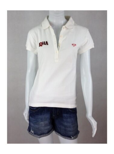 BLUSA DASLU POLO